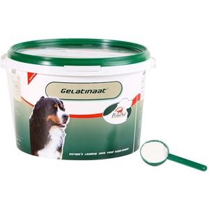 Primeval gelatinaat hond