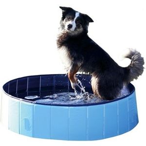 Trixie hondenzwembad lichtblauw / blauw (80X20 CM)