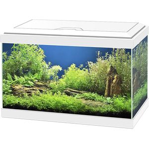 Ciano Aquarium Aqua 20 Led - Wit - 40x20x31cm