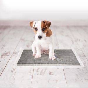 Duvo+ Puppy Training Pads met Carbon - 30 stuks