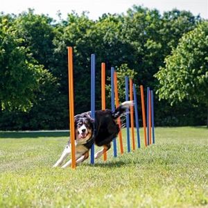 Trixie dog activity agility slalom stokken blauw / oranje (115X3 CM 12 ST)