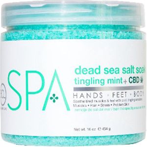 BCL SPA - Dead Sea Salt Soak CBD - 454 gr
