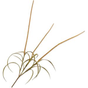 Silk-ka Kunstbloem-Zijde Gras Tak Geel-Oranje 135 cm