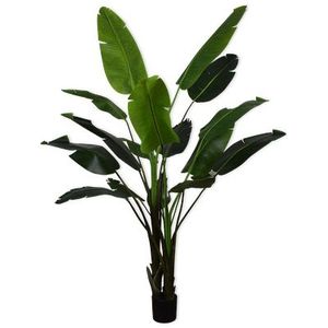 Silk-ka Kunstplant Strelitzia Zijde Groen 243 cm