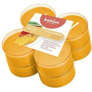 Bolsius - Maxilichten clear cup True Scents Mango 8u