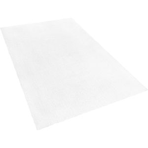 DEMRE - Shaggy vloerkleed - Wit - 160 x 230 cm - Polyester