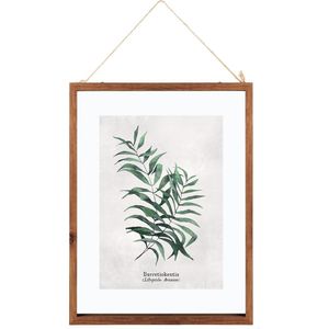 Glazen Frame Met Botanische Illustratie Burret - Poster Plant - Print Tekening met Lijst - 38x48 cm