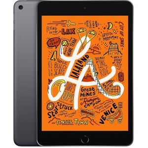 iPad Mini 5 (2019) 256GB Wi-Fi + Cellular (Simlockvrij) - Space Grijs