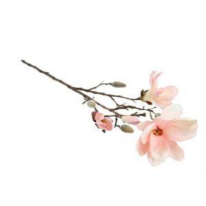 Countryfield - Magnolia Chayca M roze