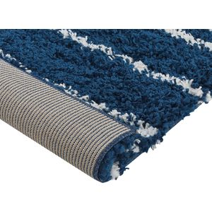 TASHIR - Shaggy tapijt - Blauw - 200 x 300 cm - Polypropyleen