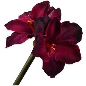 Silk-ka Kunstbloem-Zijde Amaryllis Steel Bordeau-Rood 73 cm