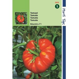 2 stuks - Hortitops - Tomaten Beefmaster F1