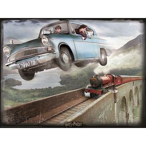 Tucker's Fun Factory 3D Image Puzzel - Harry Potter Ford Anglia (500)