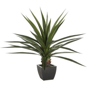 Atmosphera Kunstplant Agave - Plant met pot - 105x105x124cm - Groen