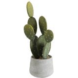 J-Line plant Cactus + Pot - kunststof/cement - groen - small