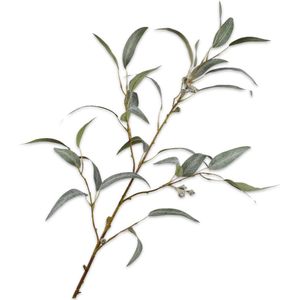 Silk-ka Kunstbloem-Zijden Bloem Eucalyptus Tak Groen 99 cm
