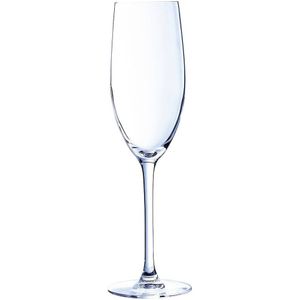 Champagneglas Chef & Sommelier Cabernet Transparant Glas 240 ml
