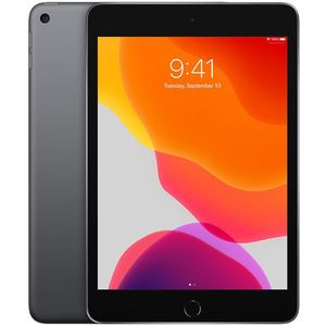 iPad 5 (2017) 128GB Wi-Fi + Cellular (Simlockvrij) - Space Grijs