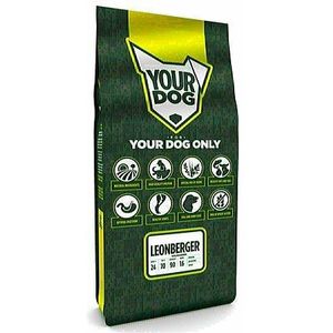 Yourdog Leonberger volwassen