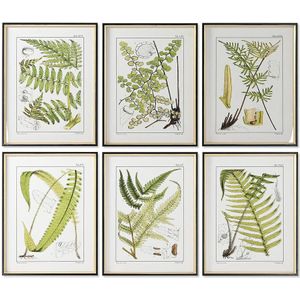 Schilderij Home ESPRIT Modern Vaatplant 50 x 2,5 x 65 cm (6 Stuks)