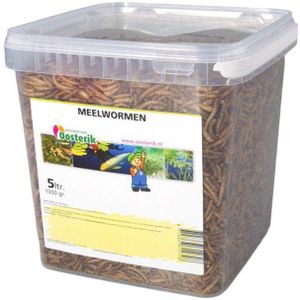 Suren Collection - Meelwormen 5 liter