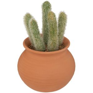 Atmosphera Kunstplant Alicante - Cactus met pot - Ø17x8cm - Groen Lichtgroen