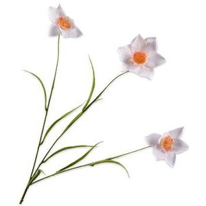 Silk-ka Zijden Bloem-Kunstbloem Narcis Tak Crème 70 cm Voordeelaanbod Per 2 Stuks