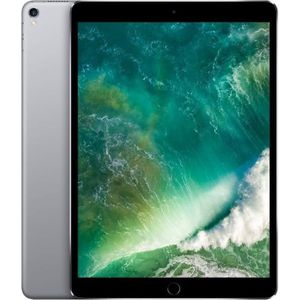 Apple iPad Pro 12.9 (2017) - Tablet - 512GB Wi-Fi + 4G - Grijs