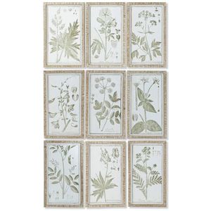 Schilderij DKD Home Decor Cottage Botanische planten 30 x 2 x 50 cm (9 Stuks)