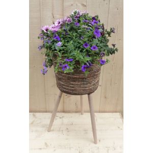 Warentuin Natuurlijk - Rieten plantenbak bruin op poten met zomerbloeiers paars/blauw h65 cm