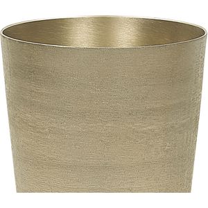 Beliani AMRIT - Bloemenvaas - Goud - Aluminium