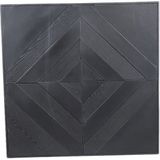 PTMD Mixa Wandpaneel - 90 x 1 x 90 cm - Ijzer - Zwart