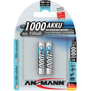 Ansmann maxE Micro-batterij in een blisterverpakking van 2 klaar voor gebruik