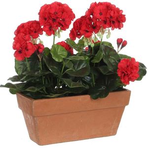 Mica Decorations geranium rood in balkonbak terra maat in cm: 29x13x40