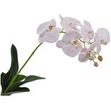 Silk-ka Kunstbloem-Zijde Bloem Orchidee Blad 80 cm