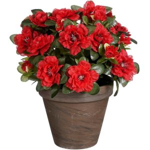 Mica Decorations Azalea Kunstplant in Bloempot Stan - H31 x Ø26 cm - Rood