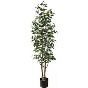 Buitengewoon de Boet - Ficus Benjamina 165 cm kunstplant