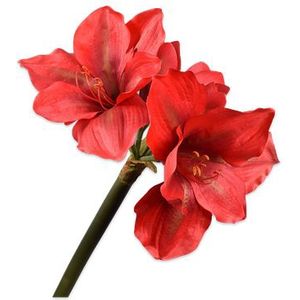 Silk-ka Kunstbloem-Zijde Amaryllis Steel Rood 73 cm