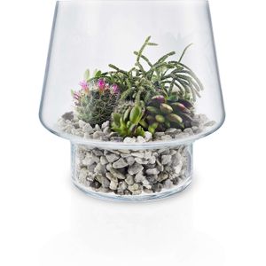 Eva Solo - Succulent Vaas 21cm - Transparant / Glas
