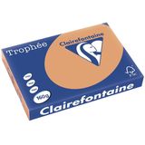 Clairefontaine Trophée Pastel, gekleurd papier, A3, 160 g, 250 vel, mokkabruin