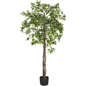 Mica Decorations Kunstboom Ficus - 50x50x150 cm - Polyester - Groen