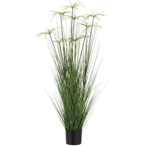 J-Line Cyperus Alternifolius 8 Koppen In Pot Pvc Groen Medium