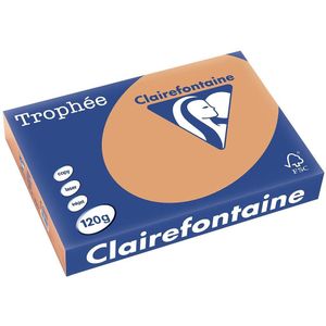 Clairefontaine Trophée Pastel, gekleurd papier, A4, 120 g, 250 vel, mokkabruin