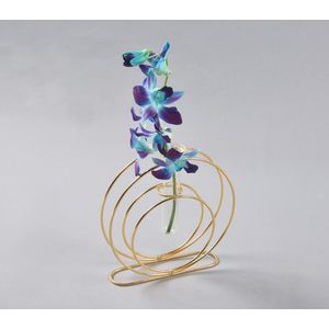 Coiled Metal & Glass Test tube Planter Vase