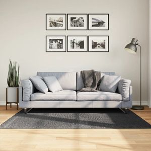 vidaXL-Vloerkleed-IZA-laagpolig-Scandinavisch-120x170-cm-antraciet