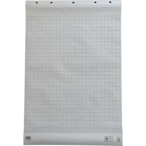 Work papierblok voor flipcharts, geruit, ft 65 x 98 cm, blok van 50 vel