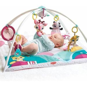 Tiny Love Babygym Gymini Deluxe - Princess Tales - Vanaf de Geboorte Tot 1 Jaar Oud