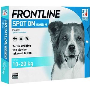 Frontline Hond Spot On Medium