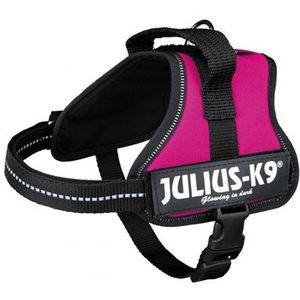 Julius K9 Power-Harnas / Tuig Voor Labels Fuchsia