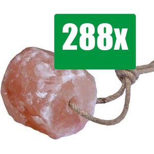 PetsHome Himalaya Liksteen Zout 2 tot 3 kg - Paarden - 288 stuks